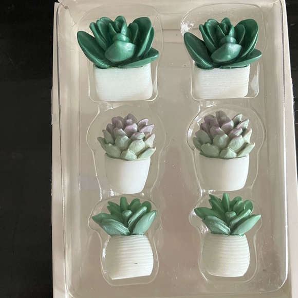 Other - NEW Potted Succulent Push Pins
